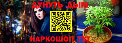 соль ск Краснодар
